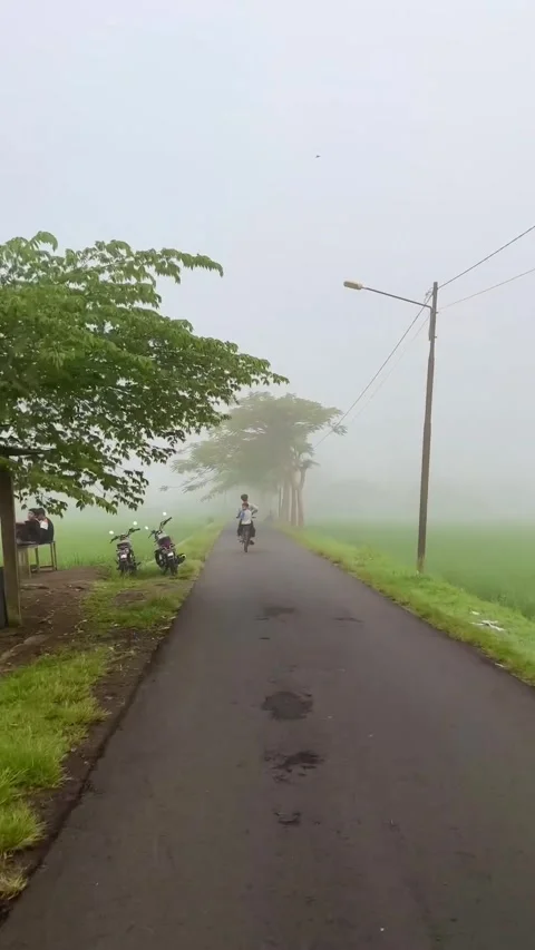 Thick fog Stock Footage 248109402