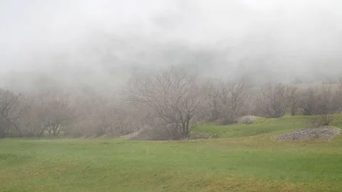Thick fog in the forest and in the mountains in the village of N Stock Footage 74775672