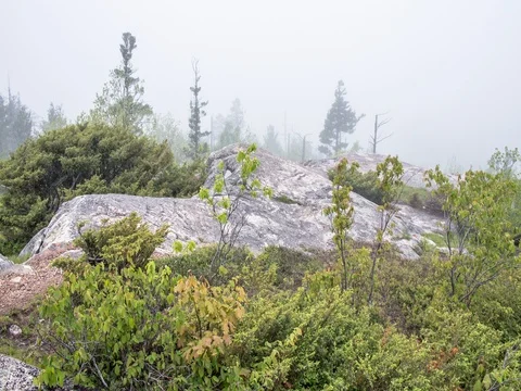 Thick Fog on Mountaintop Stock Footage 80136280