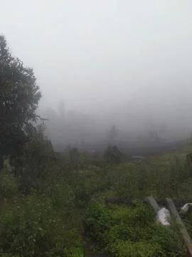 Thick fog Stock Photos