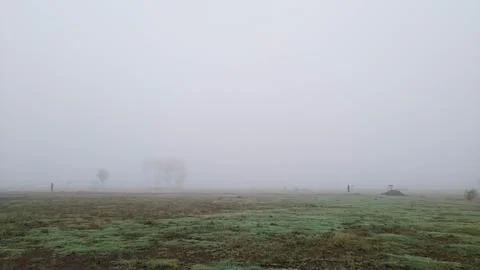 Thick fog Stock Photos
