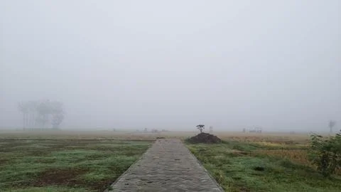 Thick fog Stock Photos