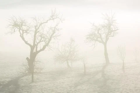 Thick fog Stock Photos