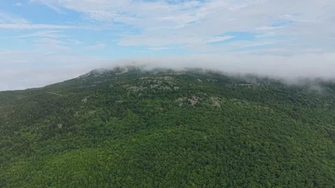 Thick fog rolls slowly over forested summit of Mount Monadnock, exposed granite Stock Footage 345699253