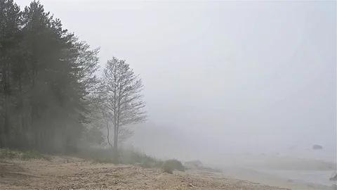 Thick fog spread on sandy beach of Finnish gulf Video stock 76848194