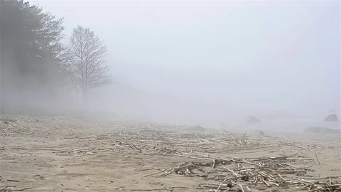 Thick fog spread on sandy beach of Finnish gulf Stock Footage 76848341