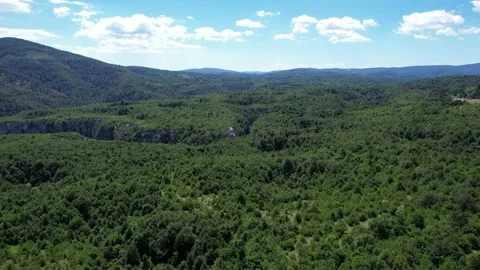 Thick forest around the Lazar's canyon near the city Bor Stock Footage 220308193