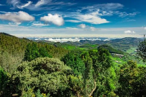 Thick forest with mountain range and cloud layers Stock Photos
