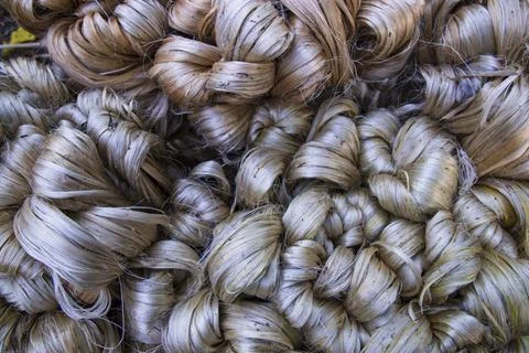 Thick Golden bundle of raw jute fiber Pattern Texture Stock Photos