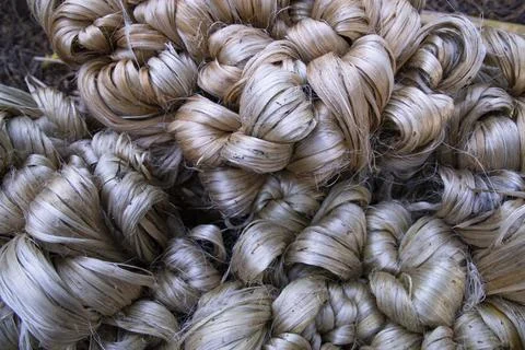 Thick Golden bundle of raw jute fiber Pattern Texture Stock Photos