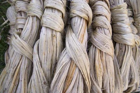 Thick Golden bundle of raw jute fiber Pattern Texture Stock Photos