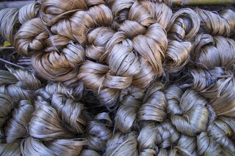Thick Golden bundle of raw jute fiber Pattern Texture Stock Photos