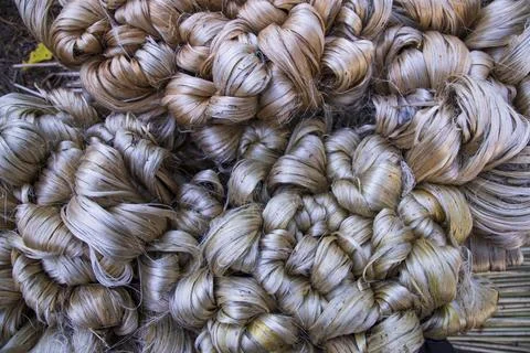 Thick Golden bundle of raw jute fiber Pattern Texture Stock Photos