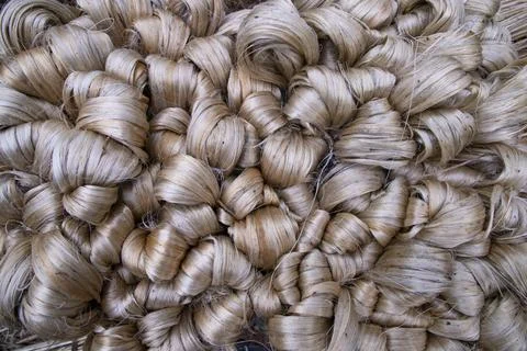 Thick Golden bundle of raw jute fiber Pattern Texture Can be used as a Back.. Stock Photos