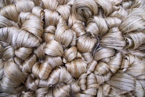 Thick Golden bundle of raw jute fiber Pattern Texture Stock Photos