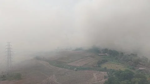 Thick Hazardous Smoke Billowing from Raging Forest Wildfire Stock Footage 346194851