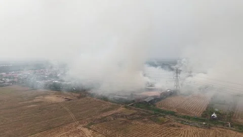 Thick Hazardous Smoke Billowing from Raging Forest Wildfire Stock Footage 346194907