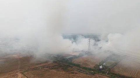Thick Hazardous Smoke Billowing from Raging Forest Wildfire Stock Footage 346194948