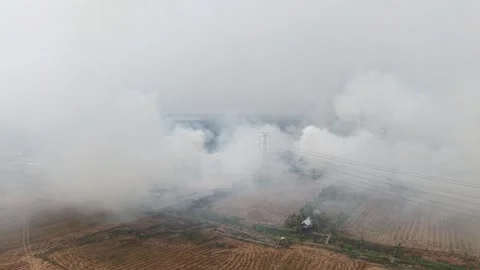 Thick Hazardous Smoke Billowing from Raging Forest Wildfire Stockbeeldmateriaal 346195024