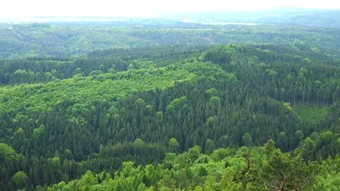 A thick hilly forest area - top view Stock-Footage 72541904
