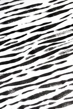Thick Ink Pen Black Lines on White Background Zebra Skin Barcode Shapes Illustrazione stock