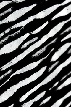 Thick Ink Pen Black Lines on White Background Zebra Skin Barcode Shapes Illustrazione stock