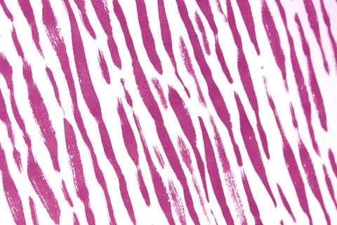 Thick Ink Pen Lines on White Background Zebra Pink Skin Barcode Shapes Illustrazione stock