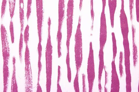 Thick Ink Pen Lines on White Background Zebra Pink Skin Barcode Shapes Illustrazione stock