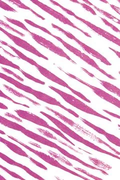 Thick Ink Pen Lines on White Background Zebra Pink Skin Barcode Shapes Illustrazione stock