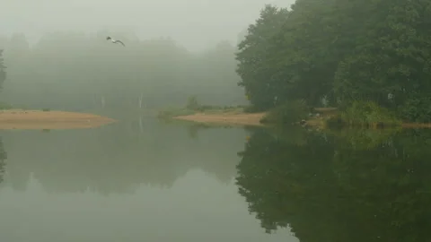 Thick morning mist Stock Footage 98341489