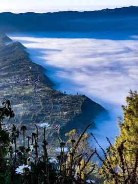 Thick mountain dew Foto stock