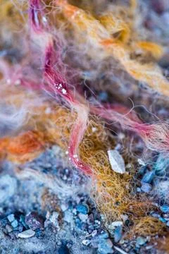 Thick multicolored carpet fibers worn to shreds Stock Photos