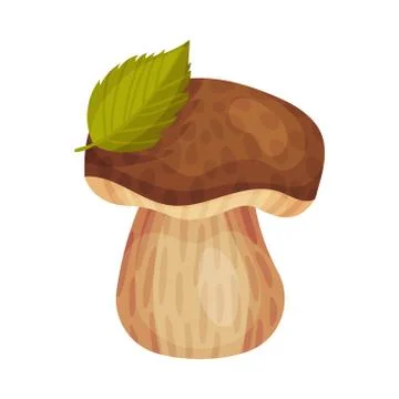 Thick mushroom with a leaf. Vector illustration on a white background. Illustrazione stock