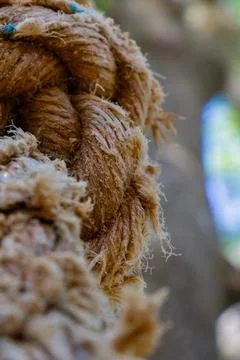Thick natural rope intertwined on a tree branch in a sunny outdoor setting Stock Photos