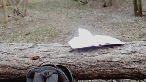 A thick open book in the early spring forest on a lying pine Stock Footage 172275368
