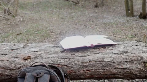 A thick open book in the early spring forest in a clearing on a lying pine Vídeos de archivo 172275378