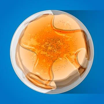 Thick pancakes with honey on plate. Stack of pancakes. Isolated on blue vecto Stock Illustration
