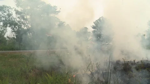 Thick Peat Fire Haze Blowing on Street, Indonesia Stock Footage 142850544