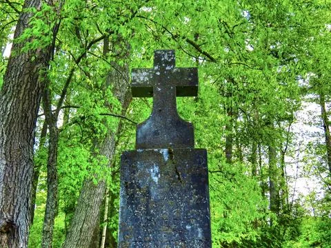 In the thick Stock Photos