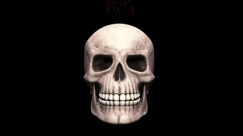 Thick red blood pours onto the human skull. Animation with an alpha channel. Stock Footage 129510126