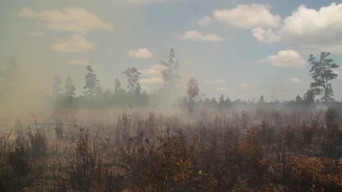 Thick smoke and Fire during Land Clearing, Indonesia Stock Footage 142775937