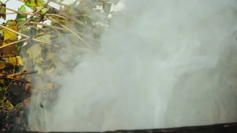 Thick smoke and fire Video stock 170095455