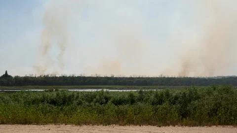 Thick smoke billowing from a forest fire raging on the far bank of a river Vídeo Stock 329440684