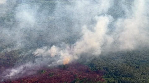 Thick smoke billows over burning forest hills Stock Footage 337723138