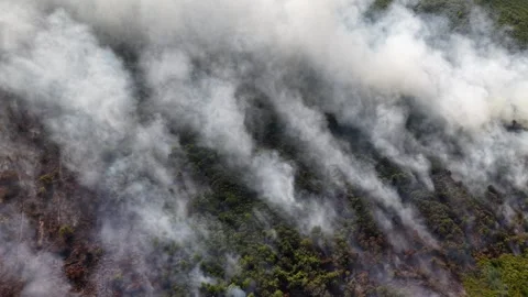 Thick smoke billows over forested hills Vidéo 337540462