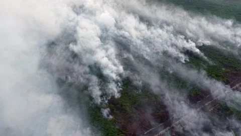 Thick smoke billows over green terrain Stock-Footage 337984572