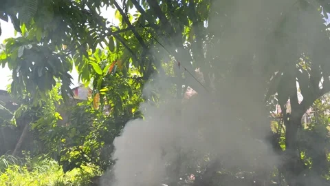 Thick smoke billows through the lush green gardens Stock Footage 304067171