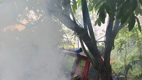 Thick smoke billows through the lush green gardens Stock Footage 304069586