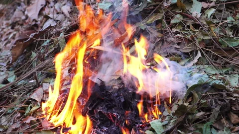 The thick smoke from burning leaves causes severe air pollution and PM2.5 issues Stock-Footage 328643787