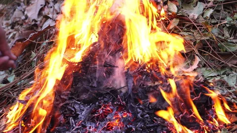 The thick smoke from burning leaves causes severe air pollution and PM2.5 issues Stock-Footage 328646338